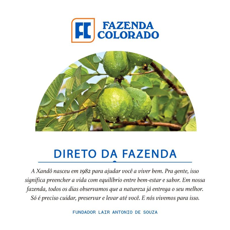 SUCO-PRON-XANDO-900ML-GOIABA