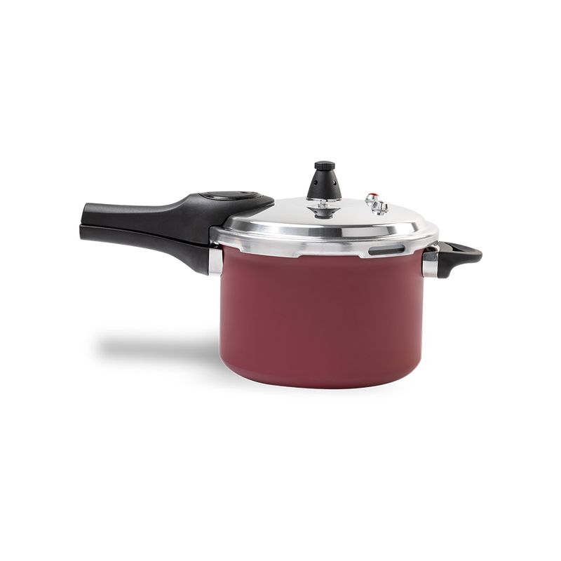 PANELA-PRESS-PRESSURE-BRINOX-42L-VERM
