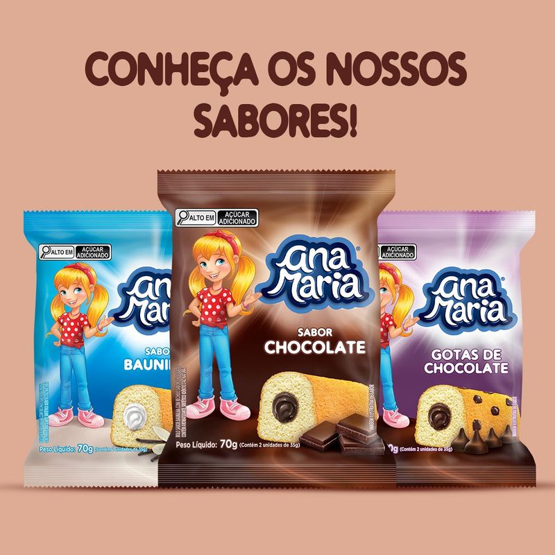 BOLINHO-PULLM-ANA-MARIA-70G-CHOC