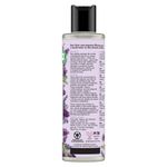 COND-LOVE-BEAUTY-300ML-OLEO-ARG-LAVAND