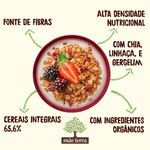 GRANOLA-MAE-TERRA-180G-FR-VERM