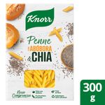 MAC-KNORR-300G-PENNE-C-ABOB-E-CHIA