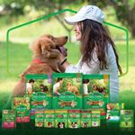 ALIM-CAO-DOG-CHOW-1KG-FILHOTES-TOD-TAM-PAPITA