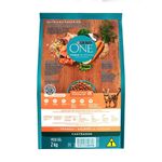ALIM-GAT-ONE-2KG-ADULTO-CASTR-FGO-SALM