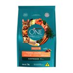 ALIM-GAT-ONE-2KG-ADULTO-CASTR-FGO-SALM