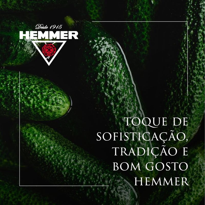 PEPINO-HEMMER-440G-ROD-BURGERS