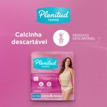 ROUP-INTIMA-PLENITUD-FEMME-C-8-G-XG
