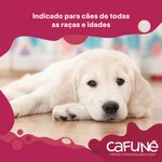 TAPETE-HIGIENICO-CAO-CAFUNE-C-30