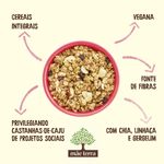 GRANOLA-MAE-TERRA-250G-TRAD