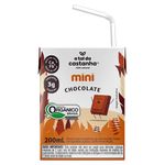 BEB-A-TAL-DA-CASTANHA-200ML-CAJ-ORG-CHOC