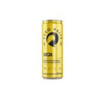 CERVEJA-SKOL-350ML-LT-P.MALTE-SLEEK