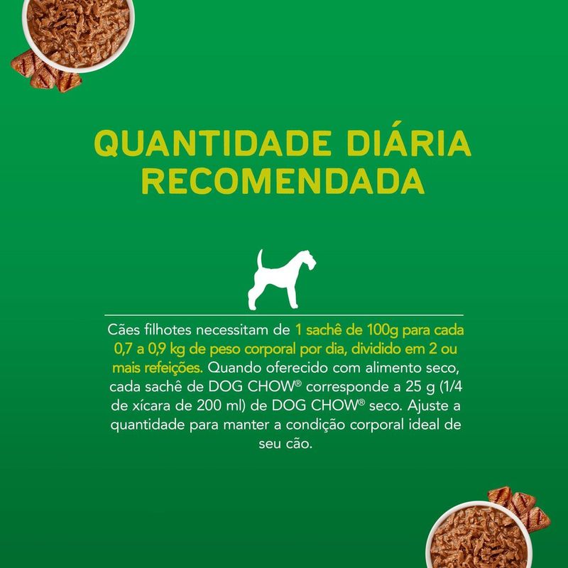 ALIM-CAO-DOG-CHOW-100G-FILHOTE-CARNE