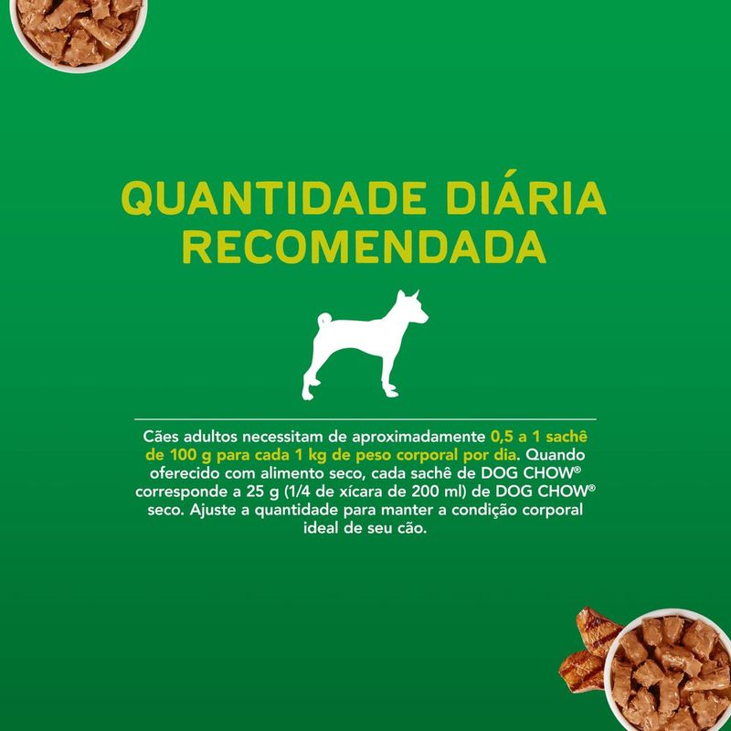 ALIM-CAO-DOG-CHOW-100G-SC-AO-MOLHO-CARNE