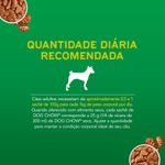 ALIM-CAO-DOG-CHOW-100G-SC-AO-MOLHO-CORDEIRO
