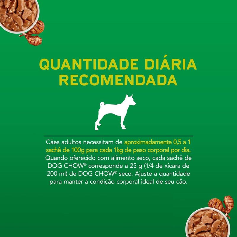 ALIM-CAO-DOG-CHOW-100G-SC-AO-MOLHO-CORDEIRO