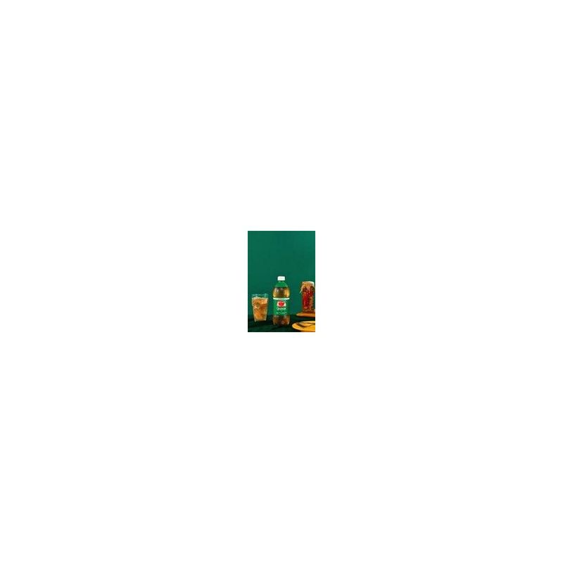 REFRIG-ANTARCT-600ML-PET-GUARAN-ZER
