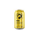 CERVEJA-SKOL-350ML-LT-PURO-MALTE