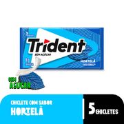 Goma de Mascar Trident Hortelã Sem Açúcar 8g