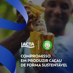 CHOC-LACTA-85G-TAB-INTENSE-NUTS-AVELA-CROC