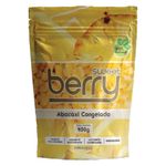ABACAXI-SWEET-BERRY-400G-CONG