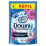 AMAC-ROUP-CONC-DOWNY-750ML-REF-BRISA-VERAO
