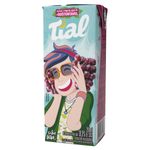 BEB-C-SUCO-TIAL-200ML-UVA