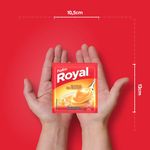 PUDIM-PO-ROYAL-50G-BAUN