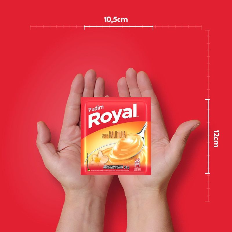 PUDIM-PO-ROYAL-50G-BAUN