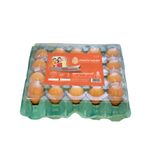 OVO-VERM-MANTIQUEIRA-C-20-GDE-PVC