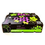 UVA-ROSADA-3KG-CX