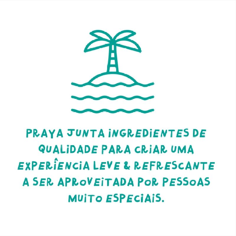 CERVEJA-PRAYA-355ML-CLASSICA