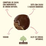 BISC-MAE-TERRA-58G-CHOCO-CACAU