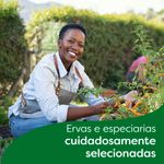 CALDO-TAB-KNORR-48G-ZERO-SAL-GALINHA