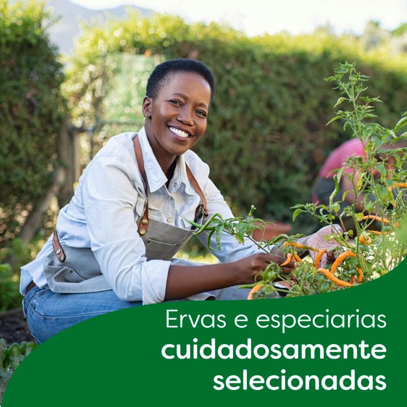 CALDO-TAB-KNORR-48G-ZERO-SAL-GALINHA