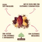 REMIX-FRUTAS-MAE-TERRA-25G-CACAU-CACAU
