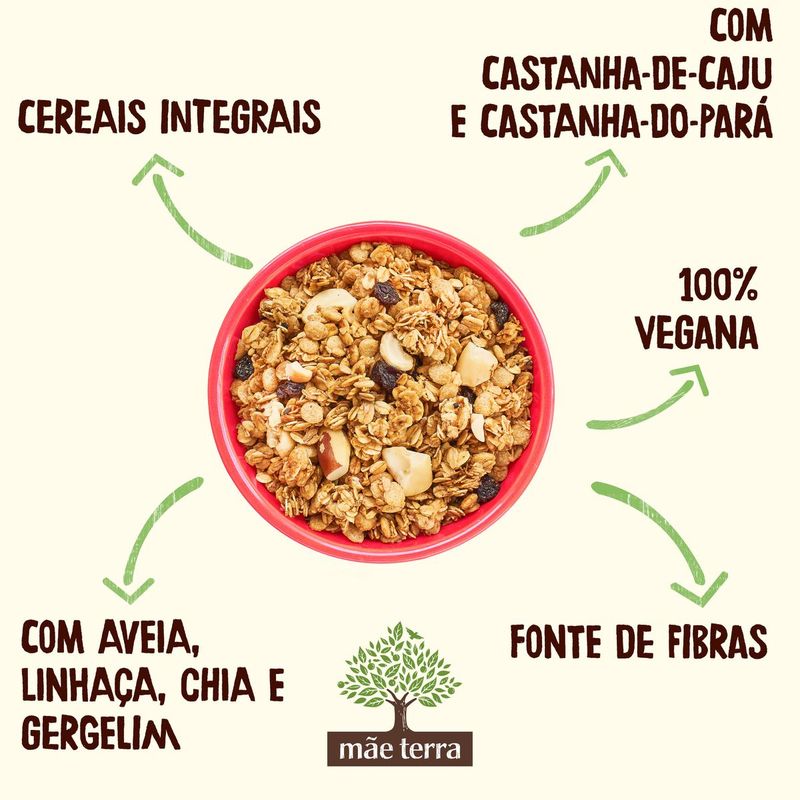 GRANOLA-MAE-TERRA-250G-TRAD