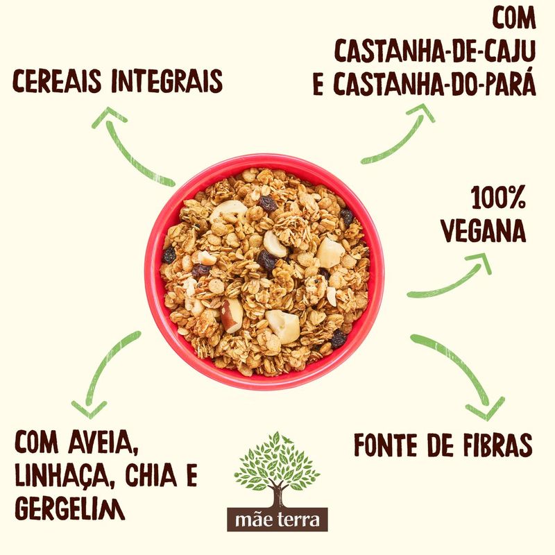 GRANOLA-MAE-TERRA-800G-TRAD