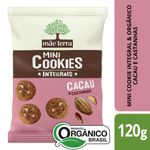 BISC-COOKIE-ORG-MAE-TERRA-120G-CAST-CACAU