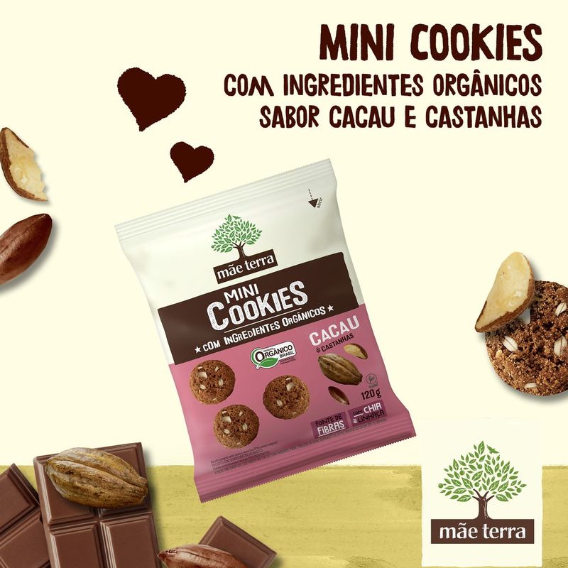 BISC-COOKIE-ORG-MAE-TERRA-120G-CAST-CACAU