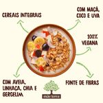 GRANOLA-MAE-TERRA-800G-S-ACUC-FRUTAS-E-MEL