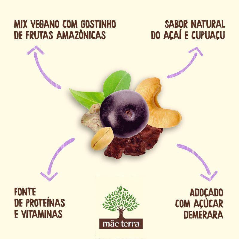 REMIX-FRUTAS-MAE-TERRA-25G-ACAI