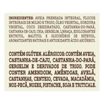 GRANOLA-MAE-TERRA-250G-ZERO-ACUC-TRAD