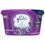ODOR-GLADE-GEL-70G-LAVANDA
