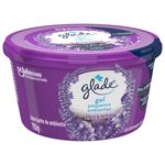 ODOR-GLADE-GEL-70G-LAVANDA