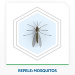 INSET-ELET-RAID-45NOIT-L2-50--DESC-SEGUNDO-REF