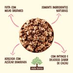 PIPOCA-DOCE-MAE-TERRA-45G-ORG-CACAU