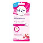 CERA-DEP-VEET-C-12-FAC-P.NORM-SECA