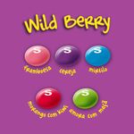 BALA-SKITTLES-38G-WILD-BERRY