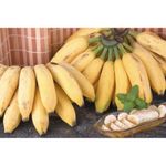 BANANA-PRATA-KG