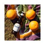CERVEJA-HOEGAARDEN-330ML-LN.NECK